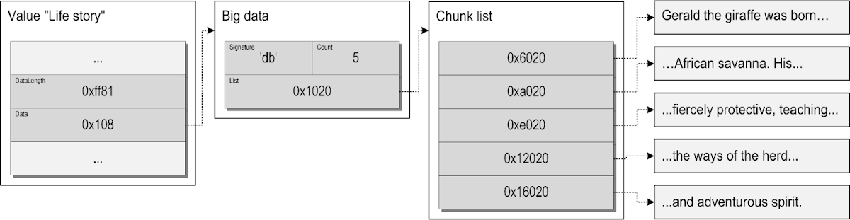 The layout of the big data object and its associated cells