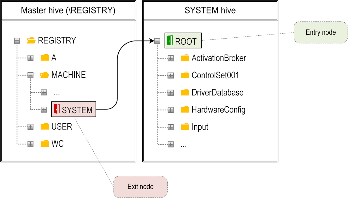 Diagrammatic illustration and visual representation of the paragraph above