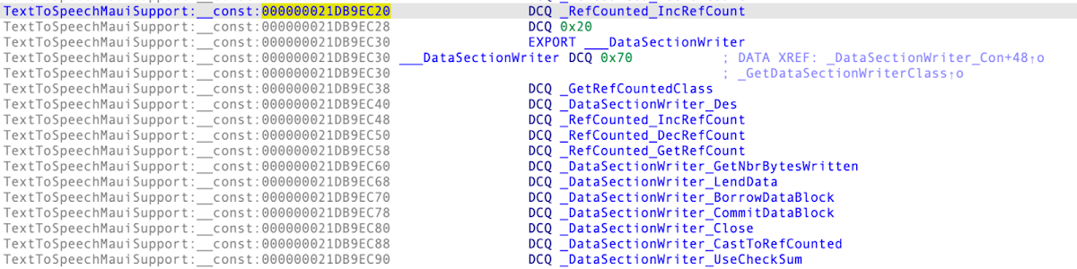 Assembly code snippet with the memory address 000000021DB9EC20 highlighted, followed by DataSectionWriter function definitions.