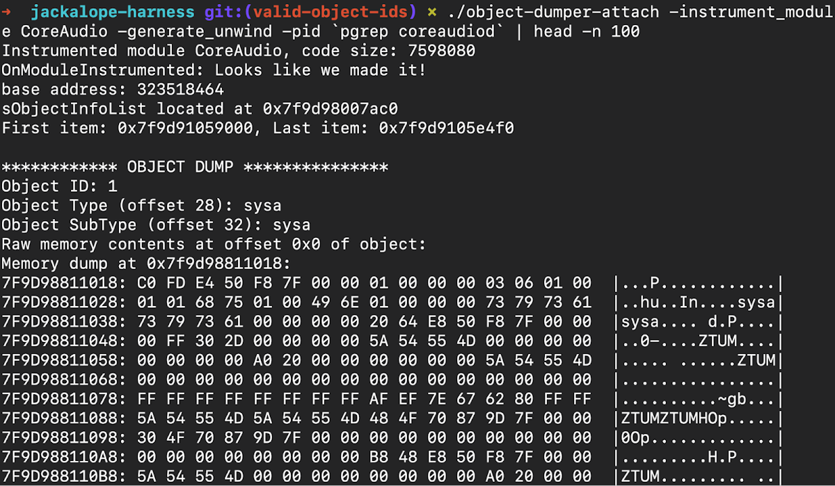 A terminal window displaying output from a command likely related to debugging or instrumenting CoreAudio. It shows messages like Instrumented module CoreAudio, OnModuleInstrumented: Looks like we made it" and an OBJECT DUMP section with memory addresses and hexadecimal/ASCII data.