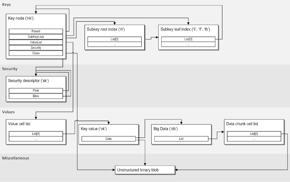 Diagram illustrating the relationships between these cell types
